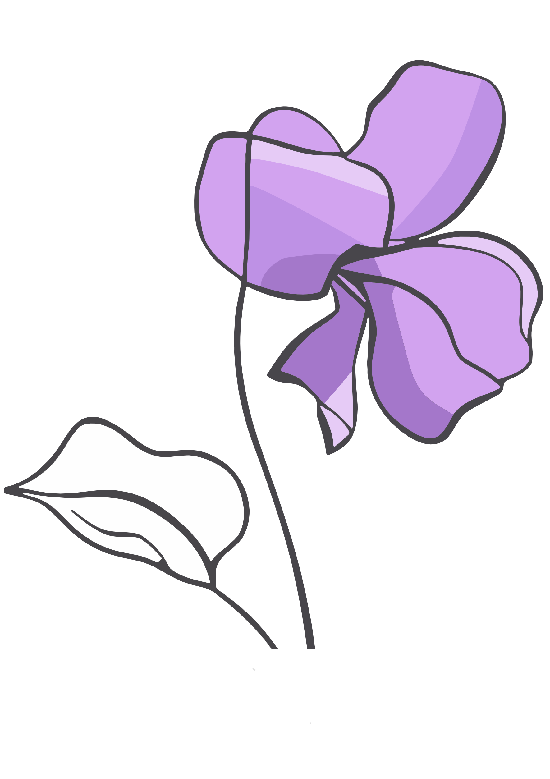 Viola Fiore Mare